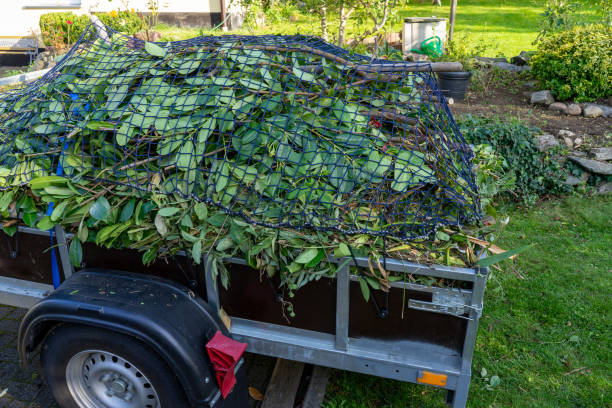 Best Furniture Removal  in Bellefontaine, OH